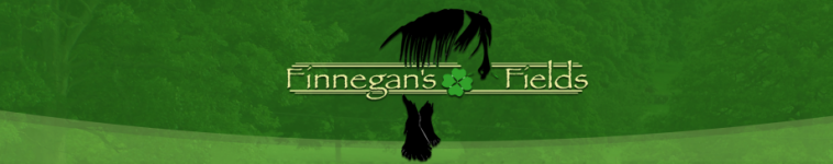 Finnegan's Fields Gypsy Horses